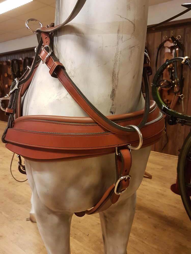 Van Der Wiel Horse Pairs Harness