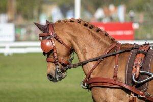 BTW-verhoging op sport voorlopig van de baan