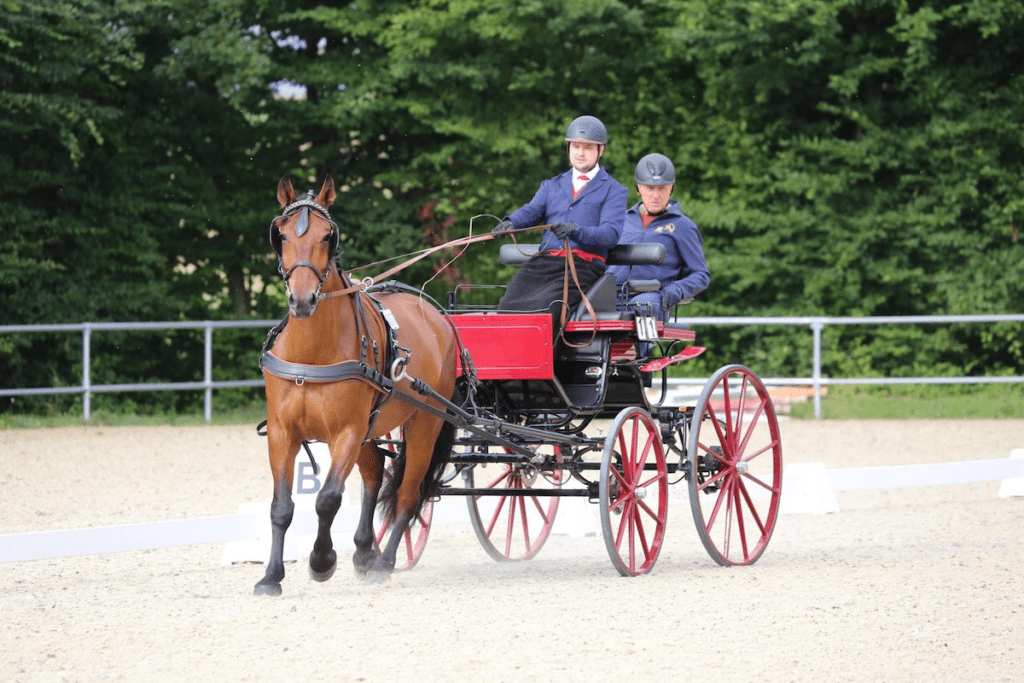 Spannende Kutschfahrten beim WEISSL Fahrsport Cup in Straubing-Oberpiebing