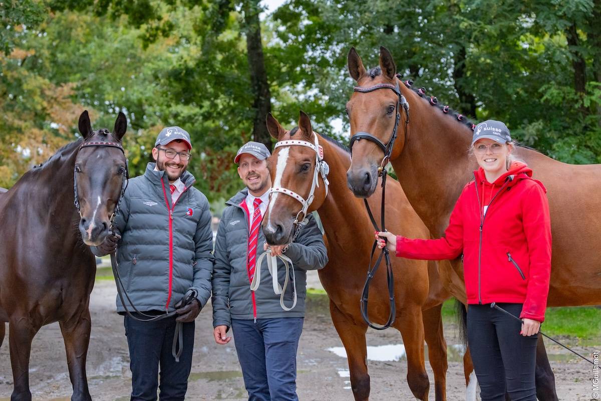 WCH Young Driving Horses Lamotte Beuvron 2024: Horse Inspection