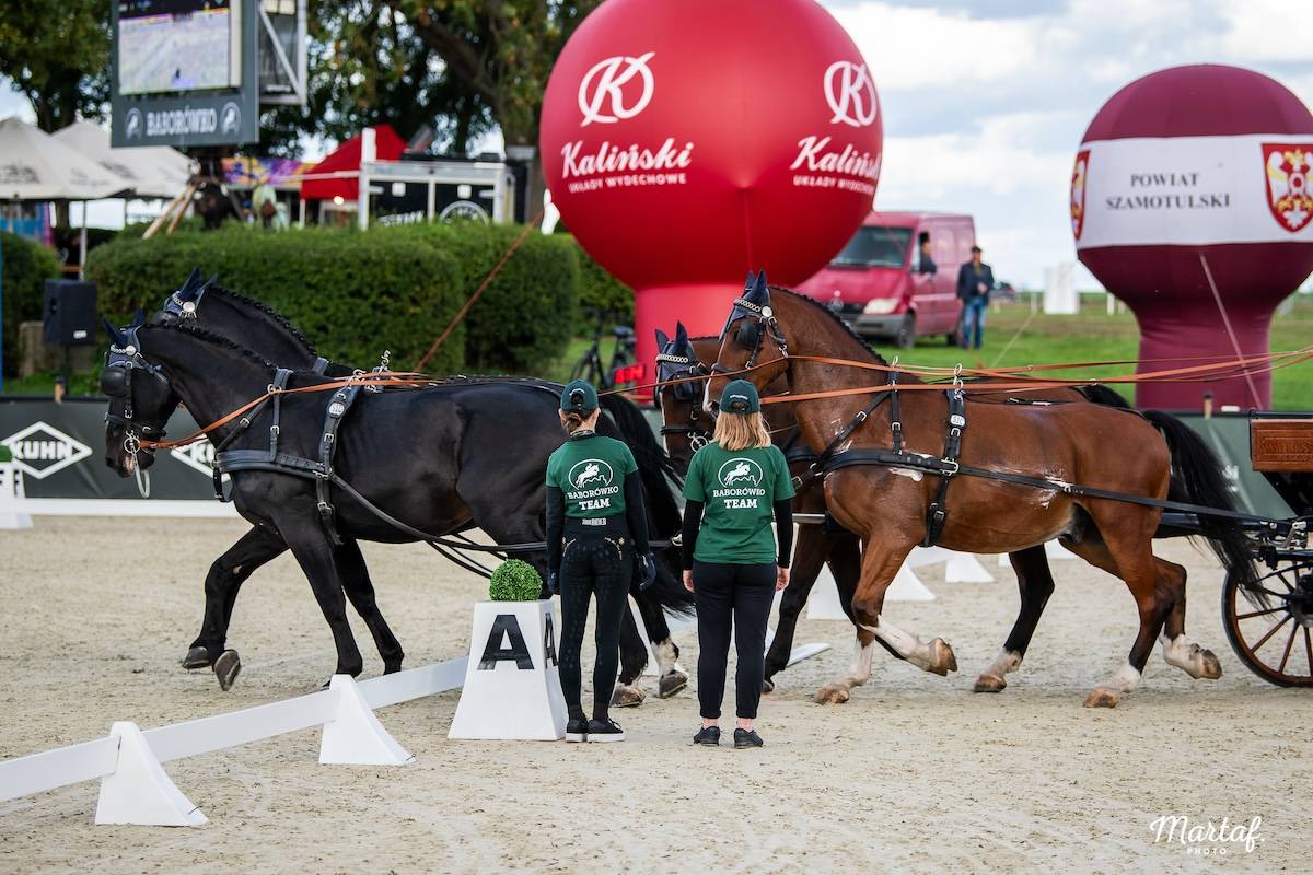 CAIO Baborówko 2024: Dressage