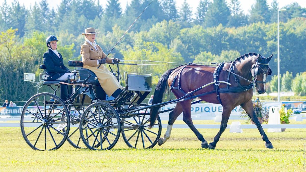 WCH Young Driving Horses Lamotte Beuvron 2024: Dressage Saturday