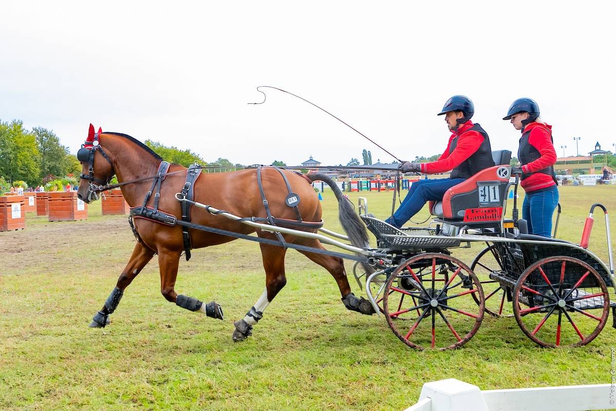 WCH Young Driving Horses Lamotte Beuvron 2024: Sunday