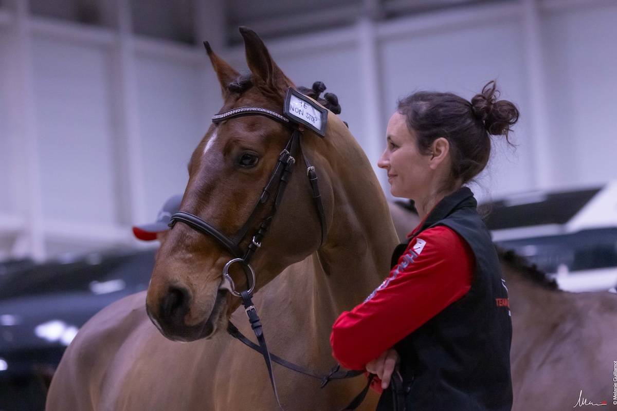 Geneva 2024: Horse Inspection