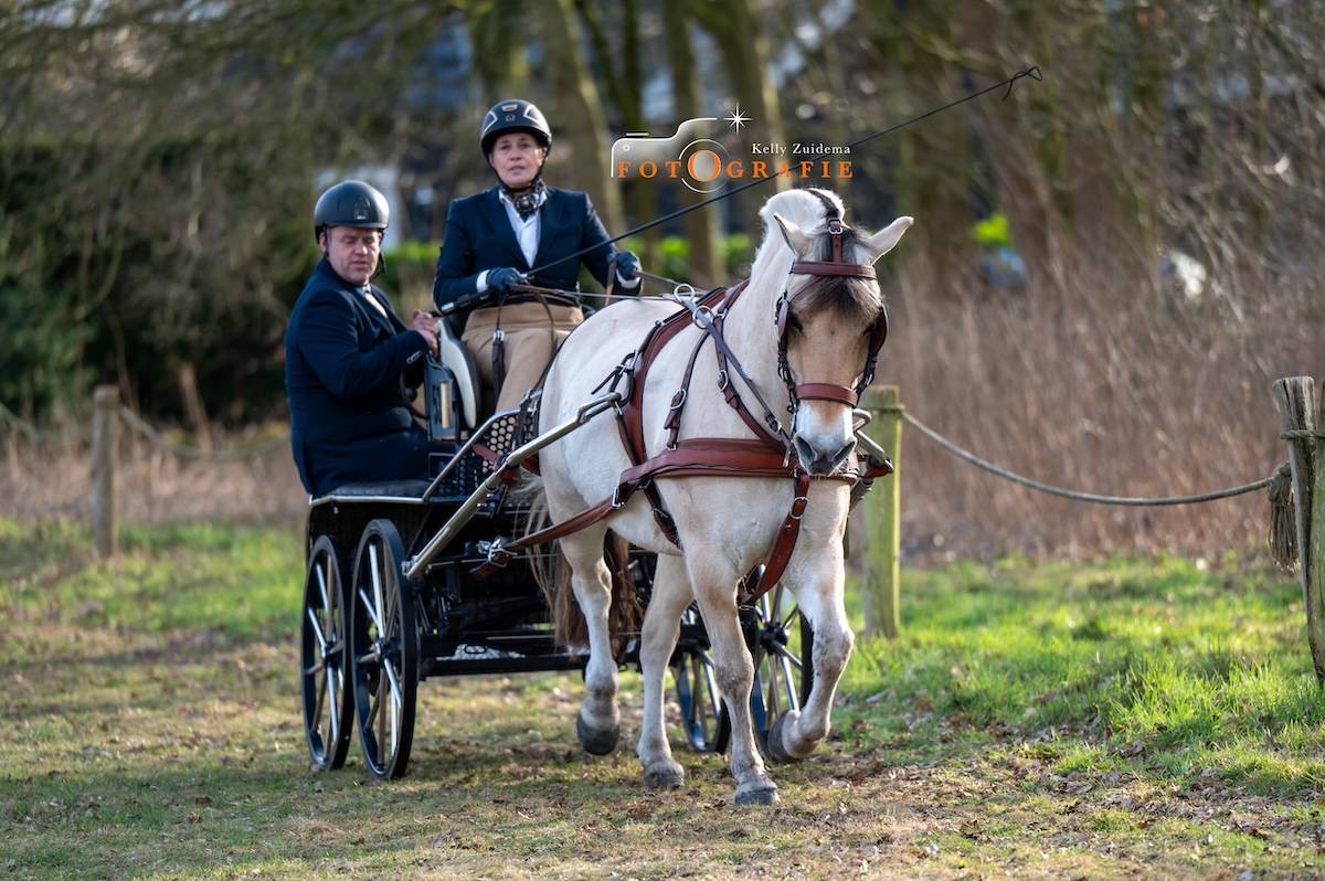 Dressuur en Vaardigheid Heesch feb 2025