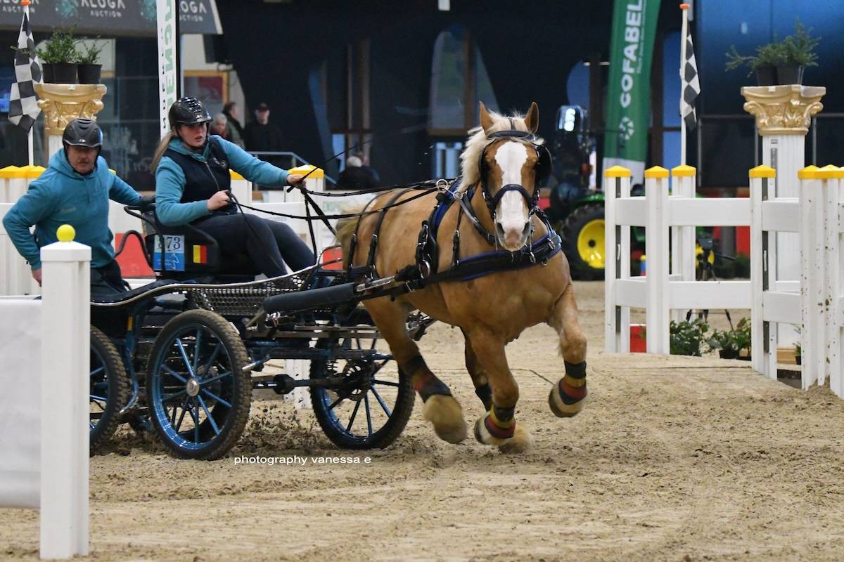 Finale Vlaams Kampioenschap Indoormennen Oudsbergen 2025 (BEL)